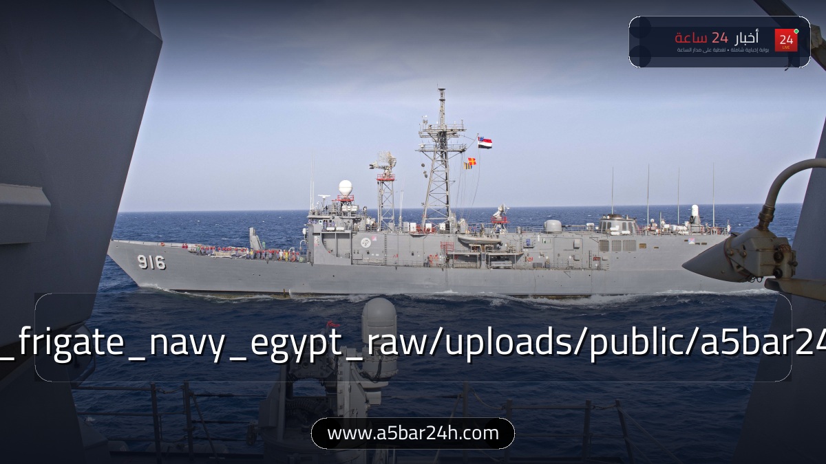 تحالف استراتيجي لحماية الأمن القومي.. مصر والصومال تفعّلان بروتوكول التعاون العسكري والدفاع المشترك: تفاصيل الدعم العسكري لمقديشو ورسائل تأمين البحر الأحمر والقرن الإفريقي