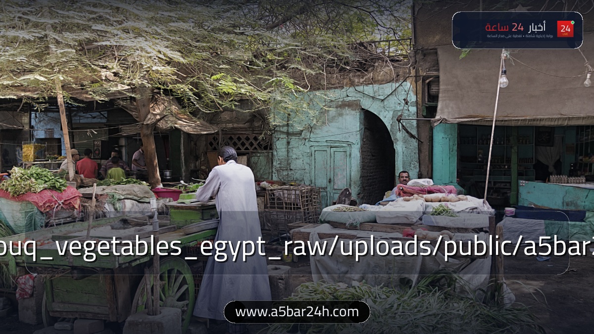 بورصة الخضار والفاكهة والدواجن اليوم في مصر.. أسعار الطماطم والبطاطس والبصل والبيض بالمجمعات الاستهلاكية وسوق العبور (قائمة الأسعار وتخفيضات 30%)