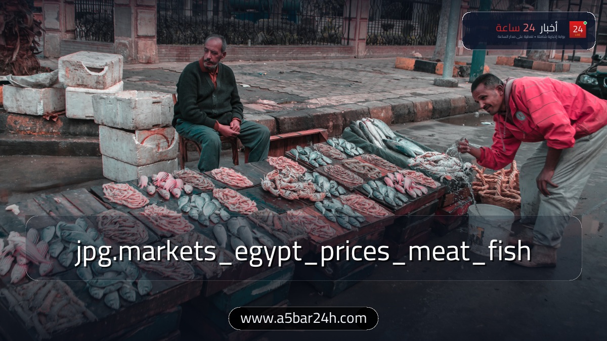 أسعار اللحوم والأسماك اليوم في مصر بمنافذ التموين وسوق العبور.. الكندوز والضأن والبلطي والجمبري للمستهلك